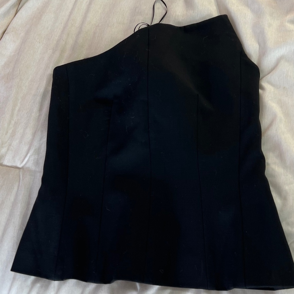 Zara Going Out Corset Top